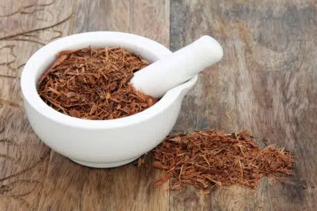 Catuaba parzenie i właściwości - afrodyzjak i lek na potencję?