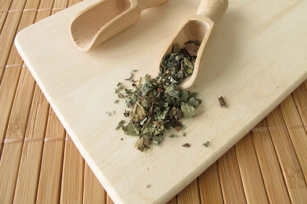 herbata z ziela miodunki plucnika remedium na choroby drog oddechowych Herbata z ziela miodunki (płucnika) remedium na choroby dróg oddechowych