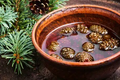 Syrop z szyszek sosny