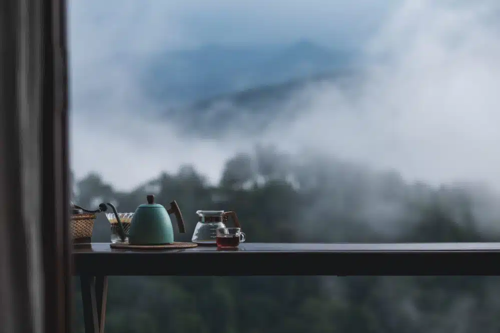 Huangshan Maofeng - Herbata “Puszyste Szczyty”