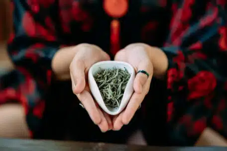 White Tea Silver Needle (Bai Hao Yin Zhen)