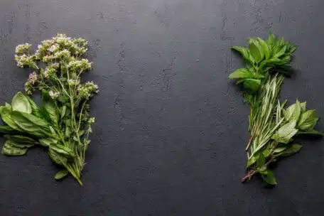 Polifenole i L-teanina jako klucz do różnorodności aromatów
